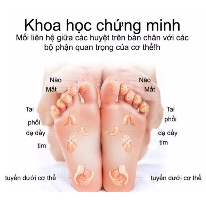 Thảm Massage Chân EMS Giúp Lưu Thông Khí Huyết, Giảm Đau Mỏi Chân, Chăm Sóc Sức Khỏe, Pin Sạc, Màn Hình Kỹ Thuật