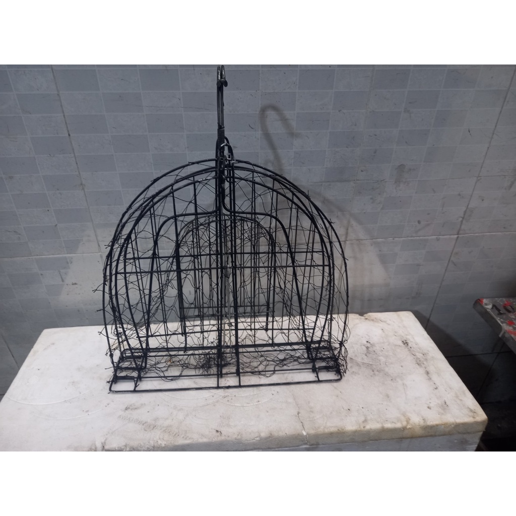 Lụp sơn đen bẫy chim bìm bịp, chim quốc