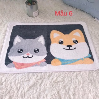 Thảm chùi chân thấm hút nước 5D