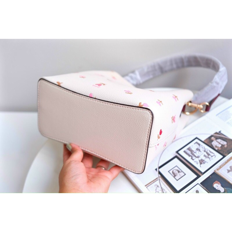 Túi xách Coach bucket Wallet thêu hoạ tiết siêu xinh