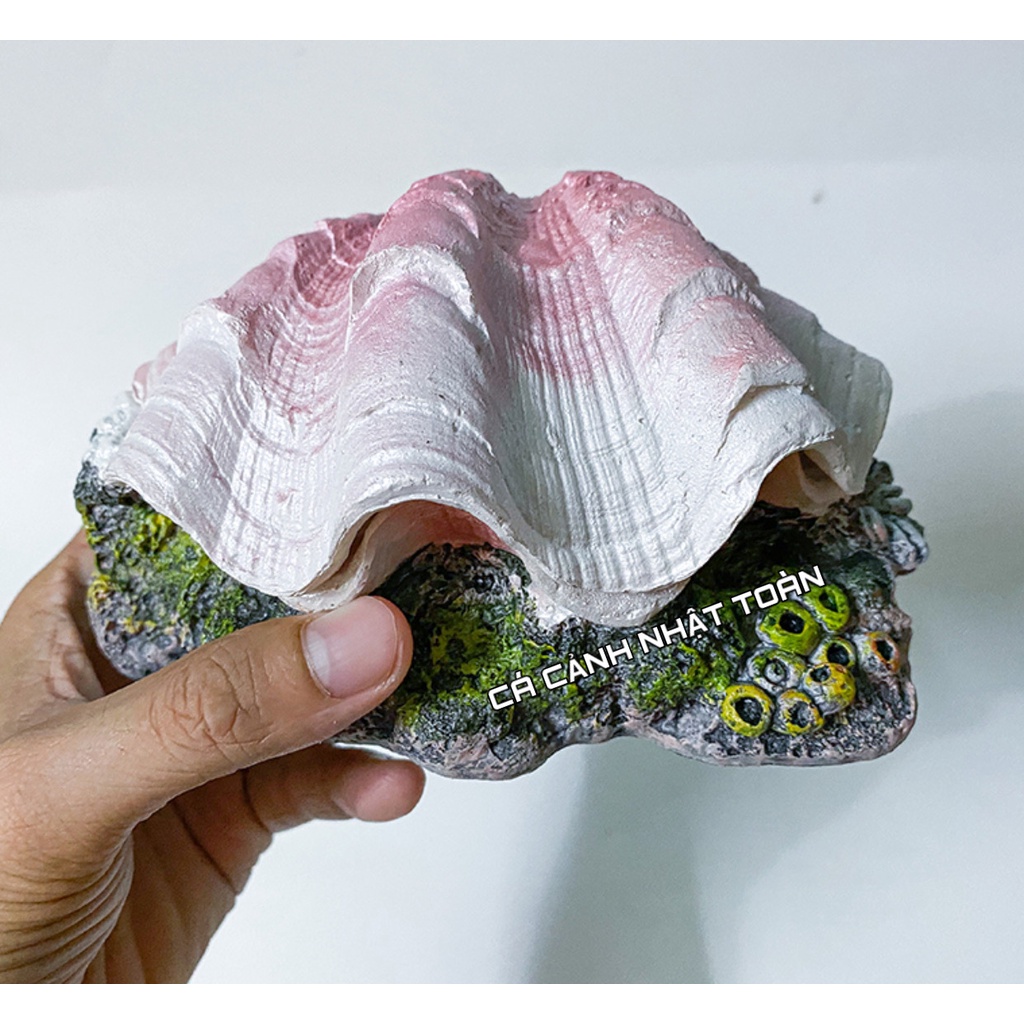 SÒ ĐÓNG MỞ NẮP TRANG TRÍ BỂ CÁ CẢNH DÀI 15CM