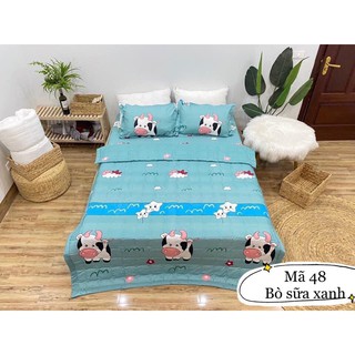 Sét 5 Món Chăn Hè Ga Gối,m6,m8 Nhiều Mẫu Lựa Chọn