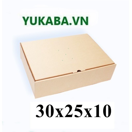 Hộp carton nắp gài 30x25x10 (1 hộp)