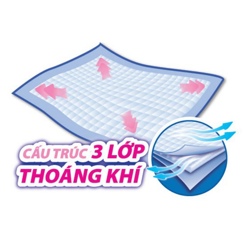 《HCM》Tấm đệm lót Caryn người già , có thể dùng lót sản dịch cho phụ nữ sau sinh L10 / XL14 / L20 / Miếng lót bổ sung 20