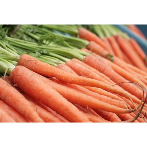 [GIÁ GỐC] Hạt giống Cà Rốt Mini Hạt giống củ cà rốt mini - 40 hạt