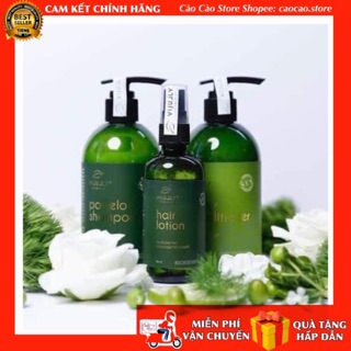 Combo gội xả lotion - giảm rụng - phục hồi - kích mọc -#600k -