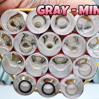 Lens xám mới