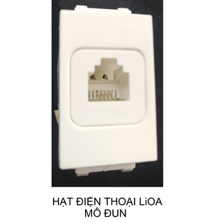 CÁC HẠT TÍN HIỆU LiOA - MÔ ĐUN