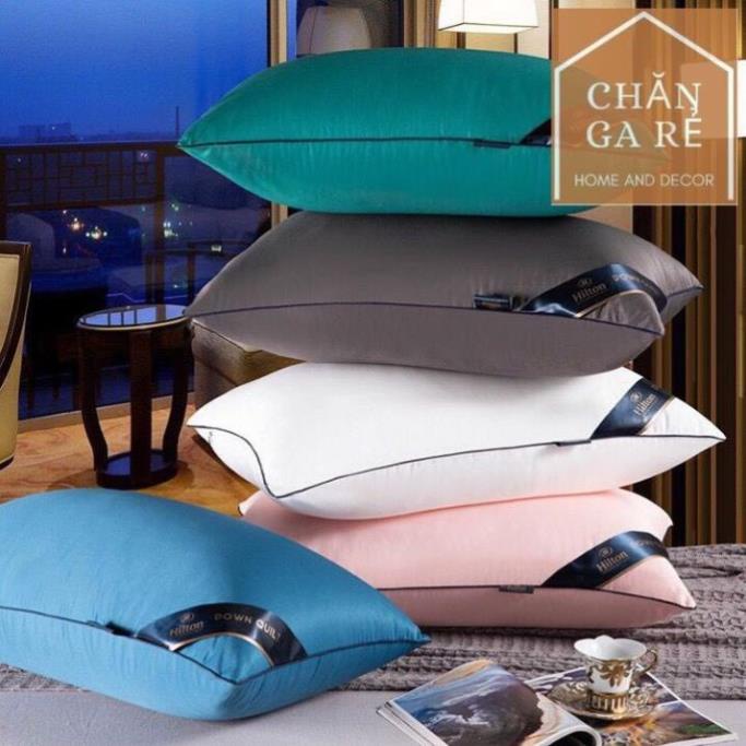 ( Hàng Đẹp) 2 CHIẾC Ruột gối Hilton-ruột gối hơi cao cấp,nhiều mầu lựa chọn,giá trên cho 2 chiếc.