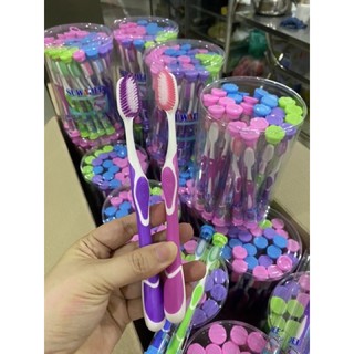 COMBOM 2 CÂY BÀN CHẢI LÔNG MỀM