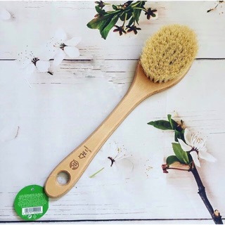 (TRẢ OD - KHÔNG DƯ) Bàn chải khô xương rồng và găng tay tắm TBS