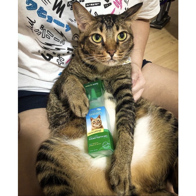 Gel vệ sinh răng miệng cho mèo Tropiclean trị hôi miệng và đánh bay mảng bám 118ml - xuất xứ Mỹ