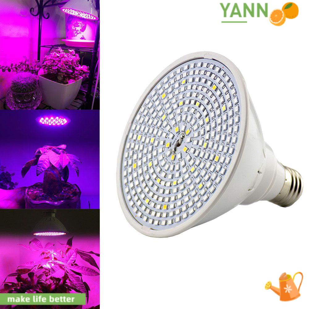Đèn Chiếu Sáng Giúp Cây Trồng Trong Nhà Yen1