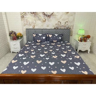 Bộ ga gối chun trần 3 món 2mx2m2