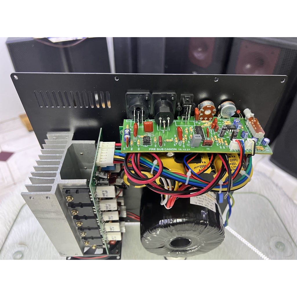 Boar Loa Sub Điện YoungKing Audio Chính Hãng