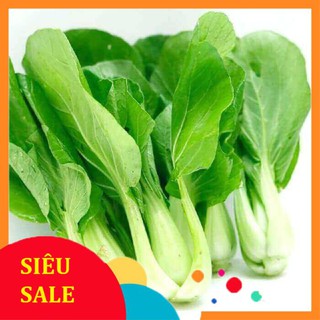 Gói 10 gr giống rau cải chip (cải thìa)  TẾT KHUYẾN MẠI