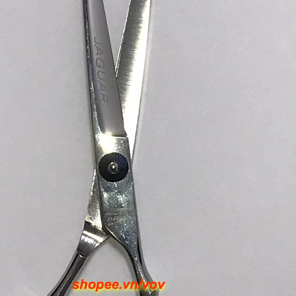 Kéo Cắt Tóc Chuyên Nghiệp 6 Inches Jaguar Cho Thợ Chuyên Nghiệp Và Học Viên, Chính Hãng vov Cung Cấp & Bảo Trợ.