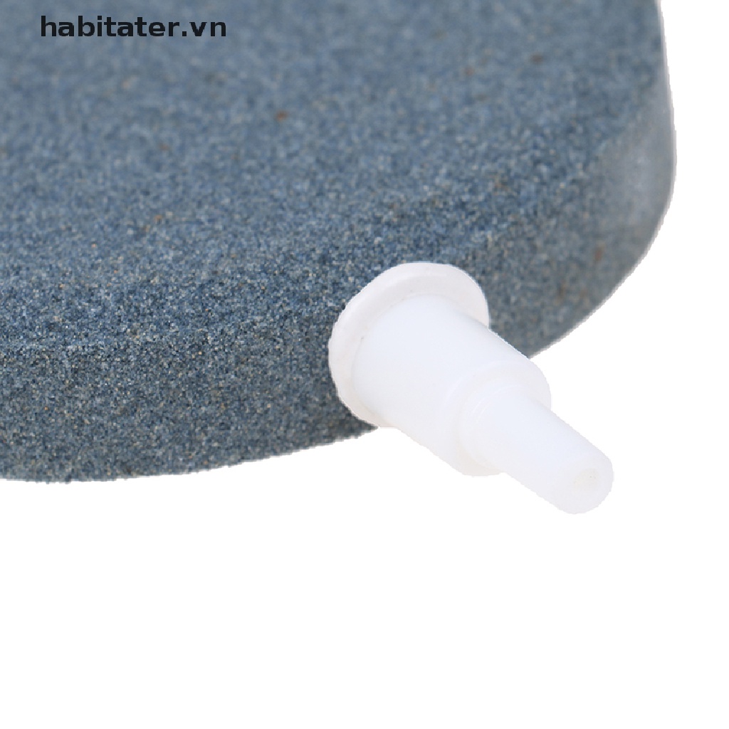 Đá sục khí oxy cho bể cá