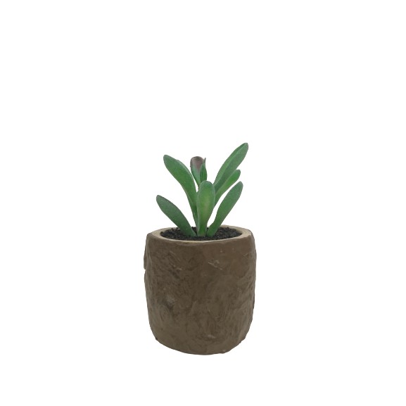 Cây Sen Đá mini nhân tạo Wooden Pot cao 12-15 cm tặng kèm chậu Concrete giả gỗ