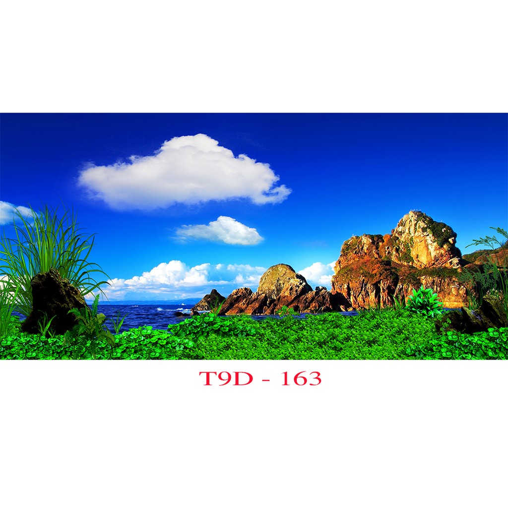 Tranh 3D bể cá mã T9D-163 kt (60,80,90,100,1m2,1m5,1m6)