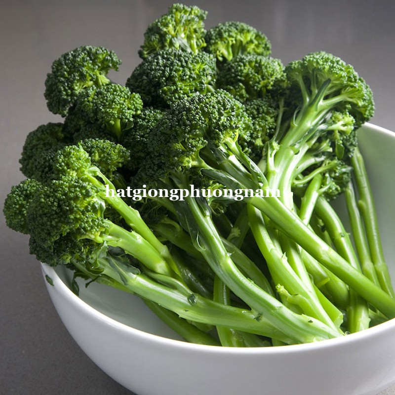 100H - HẠT GIỐNG SÚP LƠ BABY XANH