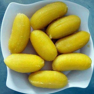 CÂY GIỐNG CHUỐI SÁP NGHỆ