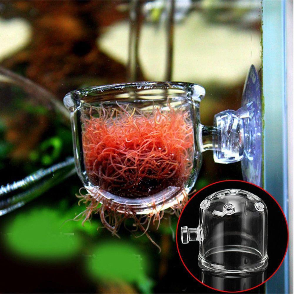 Dụng Cụ Cho Cá Ăn 36 * 36cm Tiện Dụng