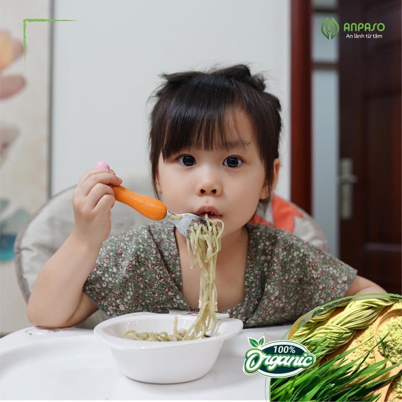 Mì Ăn Dặm Rau Củ Hữu Cơ Organic ANPASO cho bé