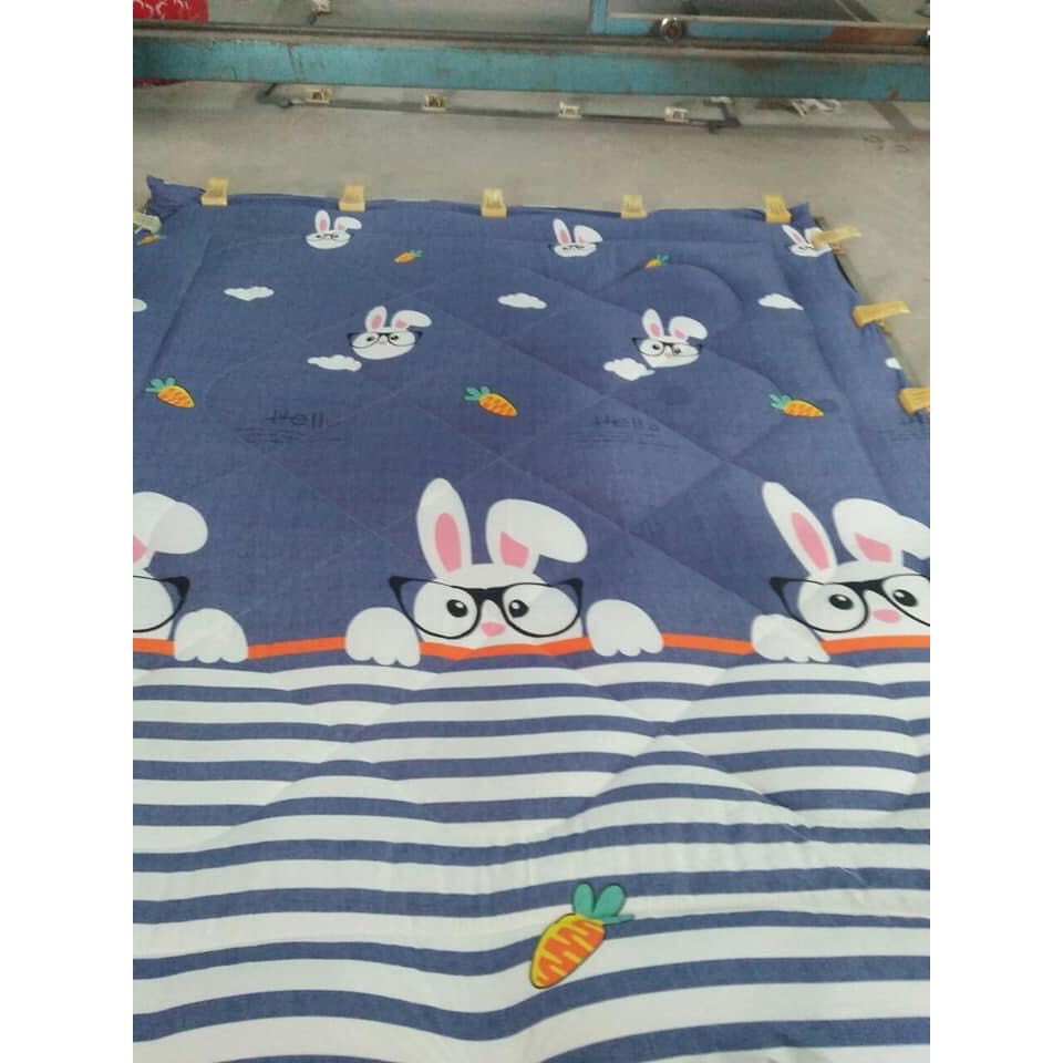 Chăn phao Poly 1m75x2m