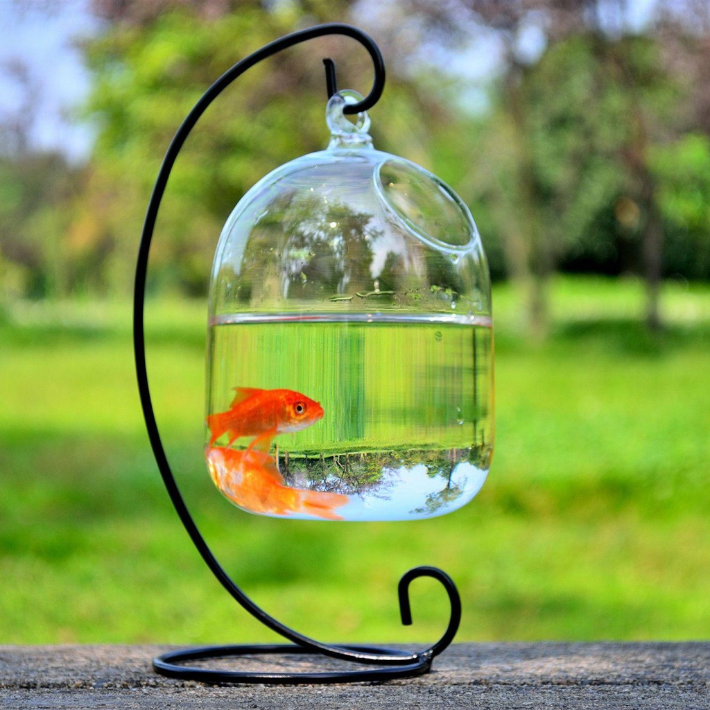 Bể Cá Mini Bằng Thủy Tinh Có Chân Đứng Kính