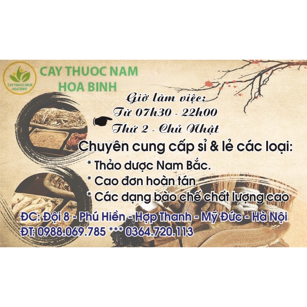 [GIÁ BÁN BUÔN] 100g Lá bồ công anh (cam kết khô, sạch, mới) | BigBuy360 - bigbuy360.vn