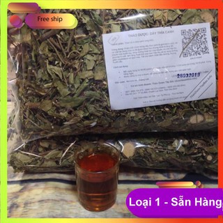 Dây Thìa Canh ( Thìa Canh Hòa Bình )