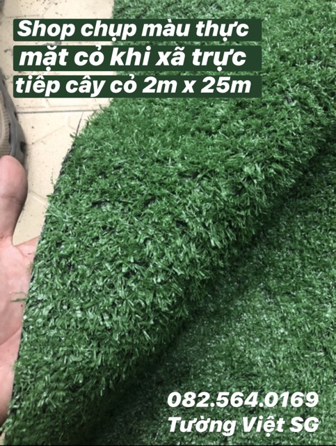 Thảm Cỏ Nhân Tạo 1.5cm ( 1 cây 50m2 )