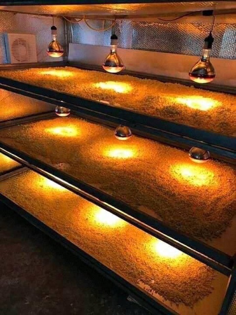 💥FLASH SALE💥100gr TINH BỘT NGHỆ NGUYÊN CHẤT BAO TEST | BigBuy360 - bigbuy360.vn