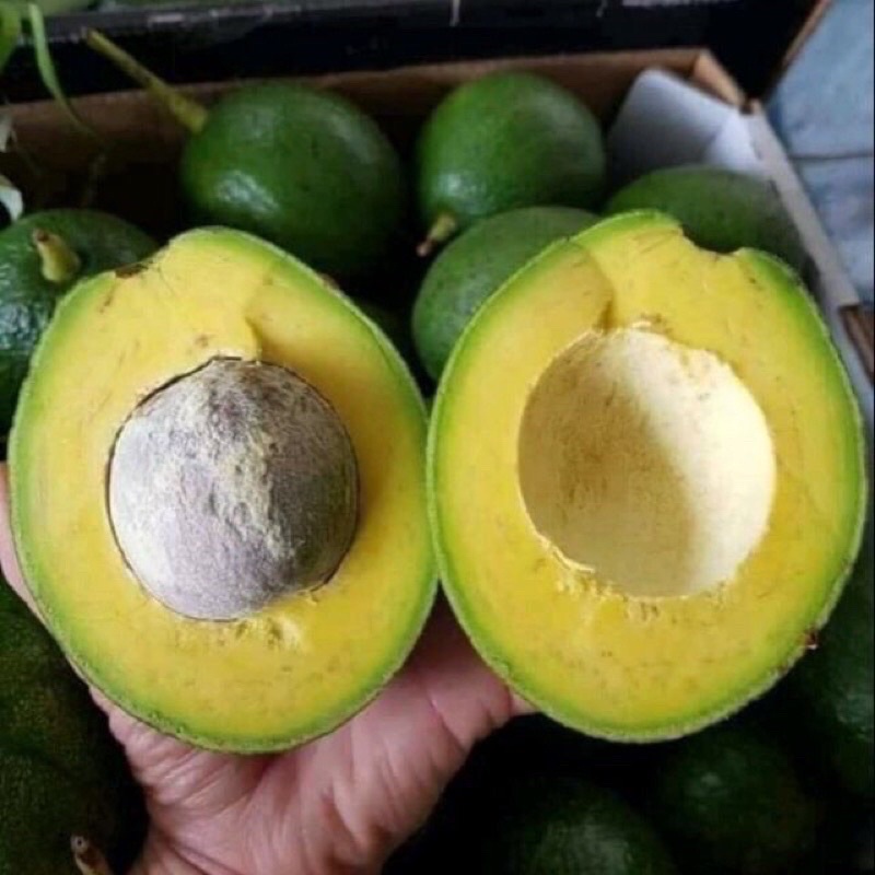 Bơ booth sạch hàng sẵn tại HCM