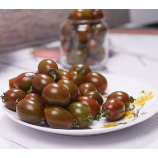 3h - HẠT GIỐNG CÀ CHUA CHOCOLA