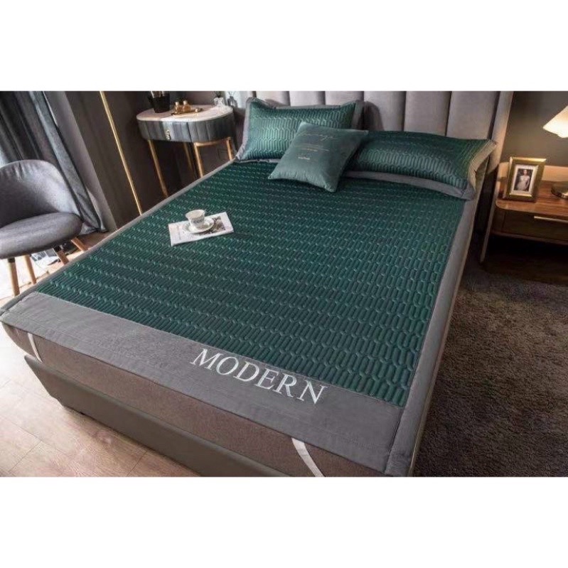 💦💦CHIẾU ĐIỀU HÒA TENCEL MODERN CAO SU NON💦💦 tặng kèm 2 vỏ gối,êm mát hàng hót 2022