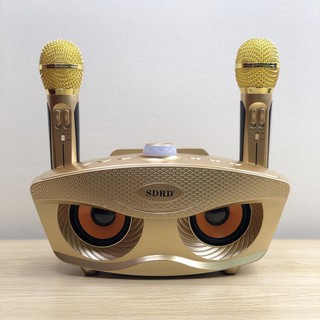 [Giá Hủy Diệt]  Loa Bluetooth Karaoke SDRD SD-306 [Ảnh thật tự chụp]