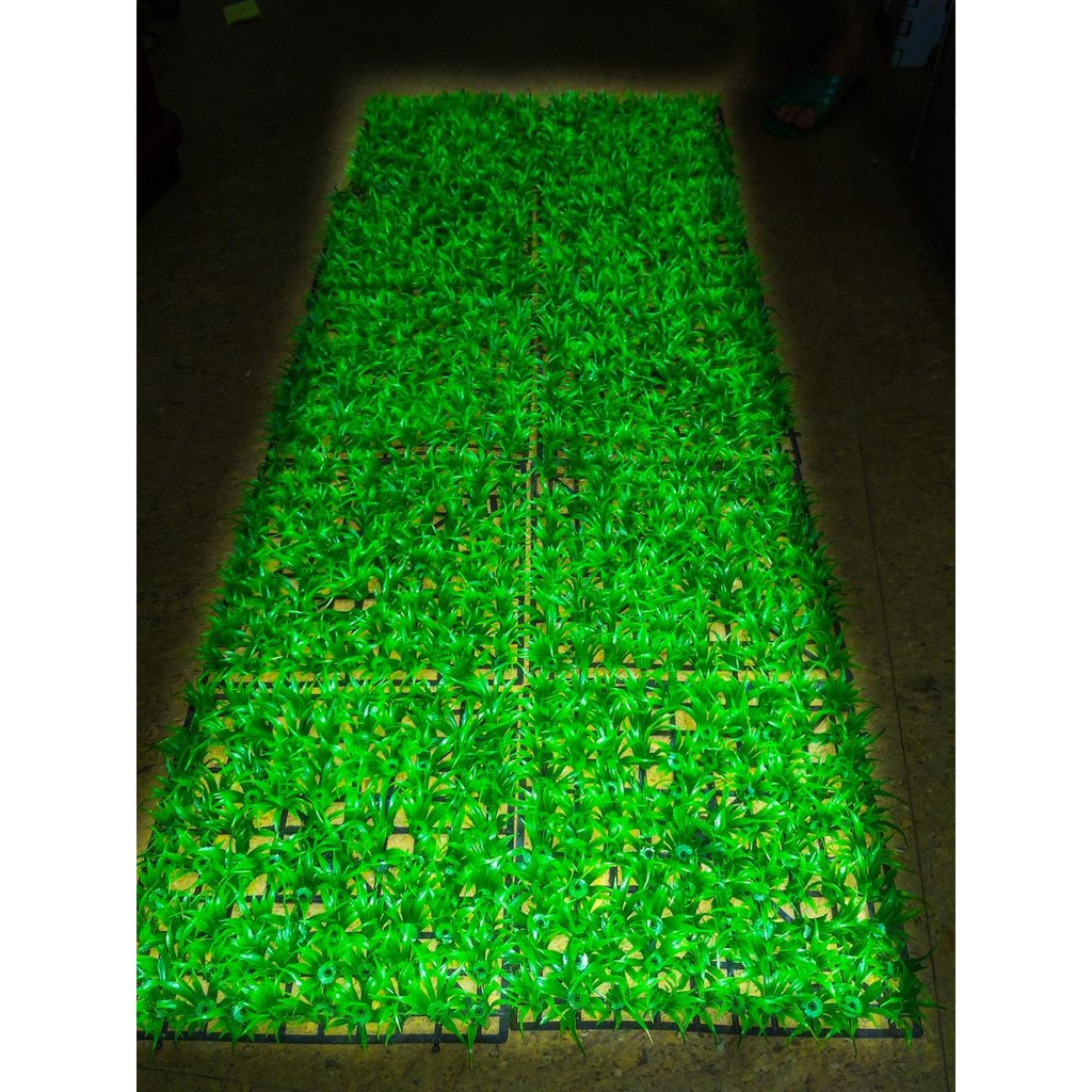 Combo 2 Tấm Thảm Cỏ Thìa Kích Thước 25x25cm Trang Trí Bể Cá Sân Vườn