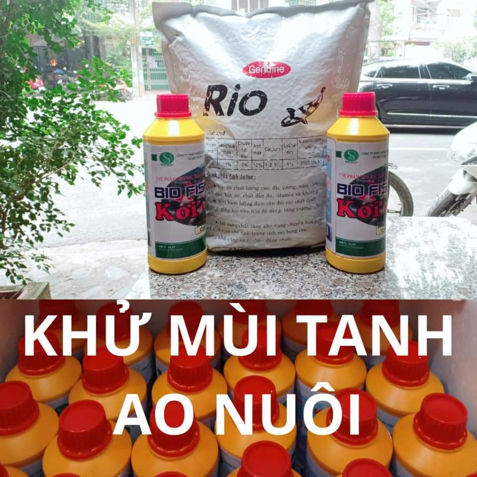 BIOFISH-KOI vi sinh hồ cá koi - chai 1lít