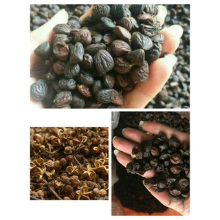 sỉ lẻ combo 100g mắc mật + 100g mắc khén + 10 hạt dổi