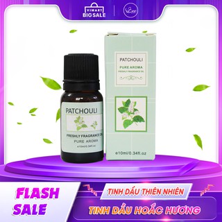 Tinh Dầu Hoắc Hương Chiết xuất Từ Thiên Nhiên Nguyên Chất Xông Thơm Phòng Đuổi Côn Trùng | Lọ 10ml | Có kiểm nghiệm COA