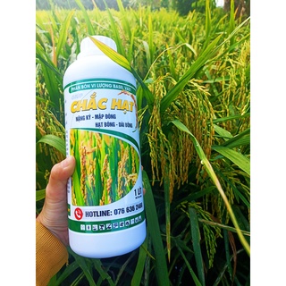 CHẮC HẠT- giúp lúa trổ thoát nhanh và đồng loạt, bung đòng mạnh hạn chế nghẹn đòng. CHAI 1 LÍT
