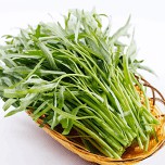 Hạt giống rau muống lá tre