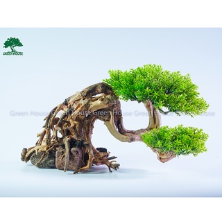 Lũa Bonsai, Lũa thủy sinh dùng trang trí hồ cá cảnh, hồ thủy sinh, văn phòng, nhà cửa (PLASTIC/19)