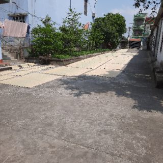 Chiếu cói  1m8*2m Trắng