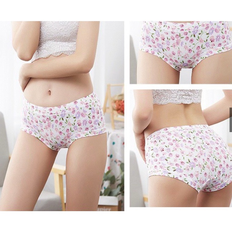 Quần lót nữ cao cấp thông hơi thun lạnh cạp cao  co dãn cực tốt chất đẹp Q5048 from to Big size 50kg 60kg 70kg