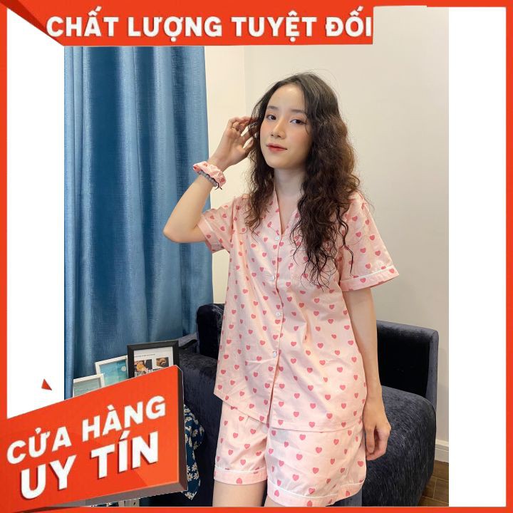 ĐỒ BỘ PIJAMA 💖FREESHIP💖 Bộ mặc nhà nữ chất thô Hàn cao cấp mềm mát, hoạ tiết xinh, tay ngắn quần đùi | BigBuy360 - bigbuy360.vn
