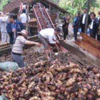 Miến rong  _ 1kg
