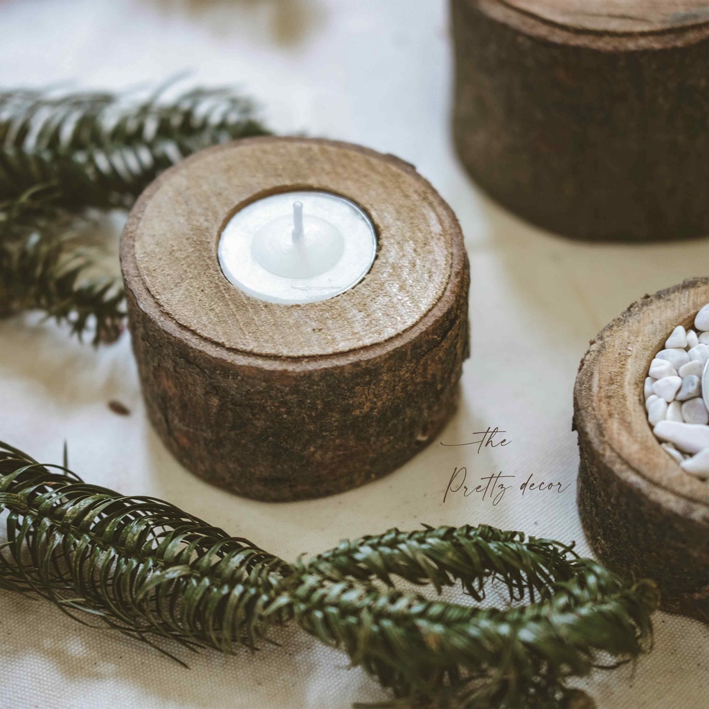 Chậu Khúc Gỗ Đứng Tự Nhiên - Thân To Trồng Cây, Decor, Trang Trí Vintage